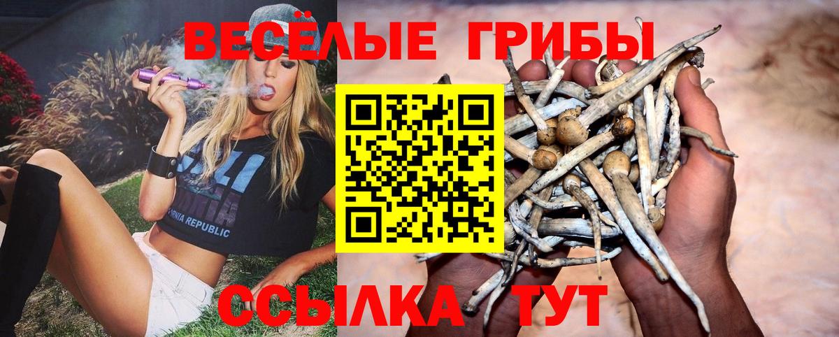 Псилоцибиновые грибы MAGIC MUSHROOMS Калуга